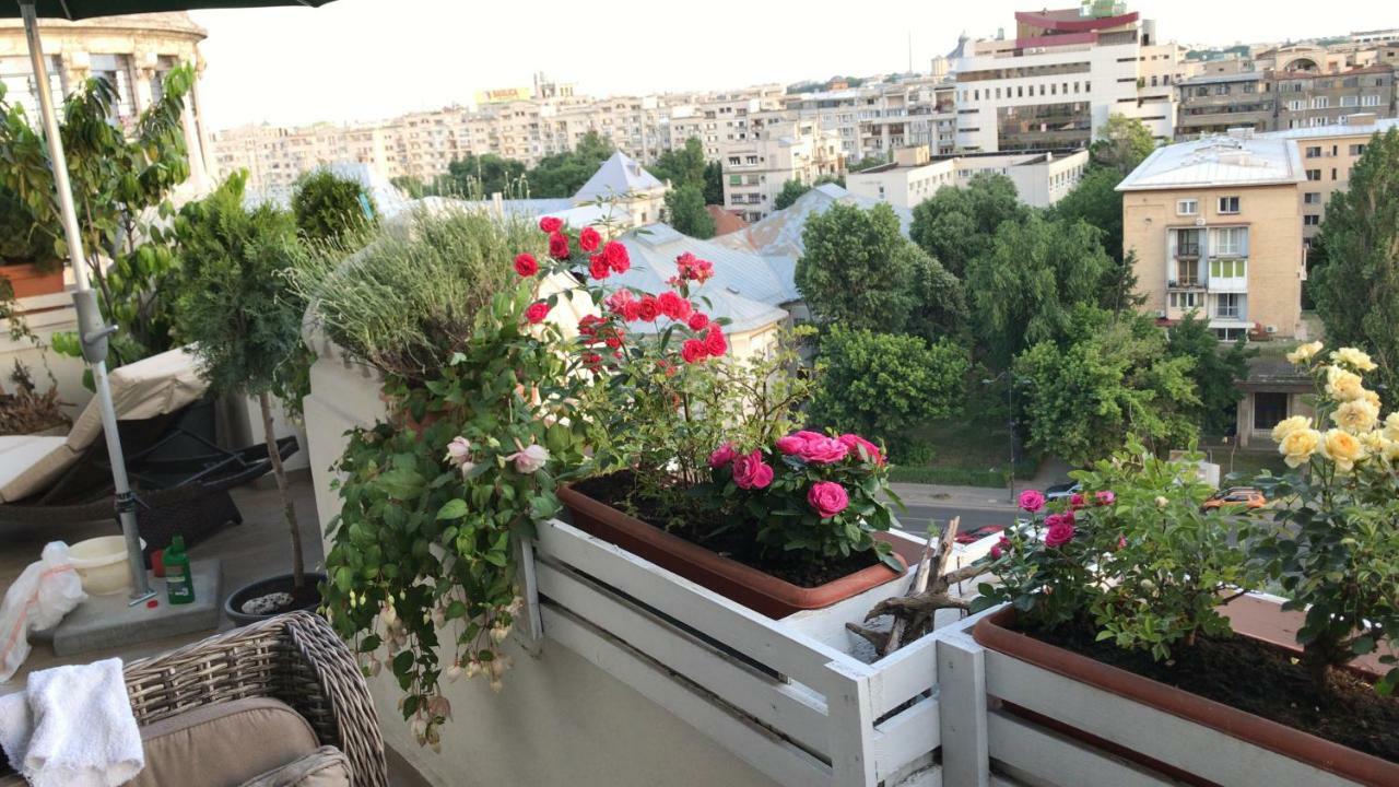 Apartino - Luxury View - Self Check-In ブカレスト エクステリア 写真
